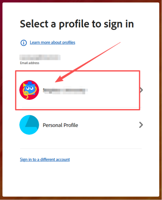 Select Brighton University team